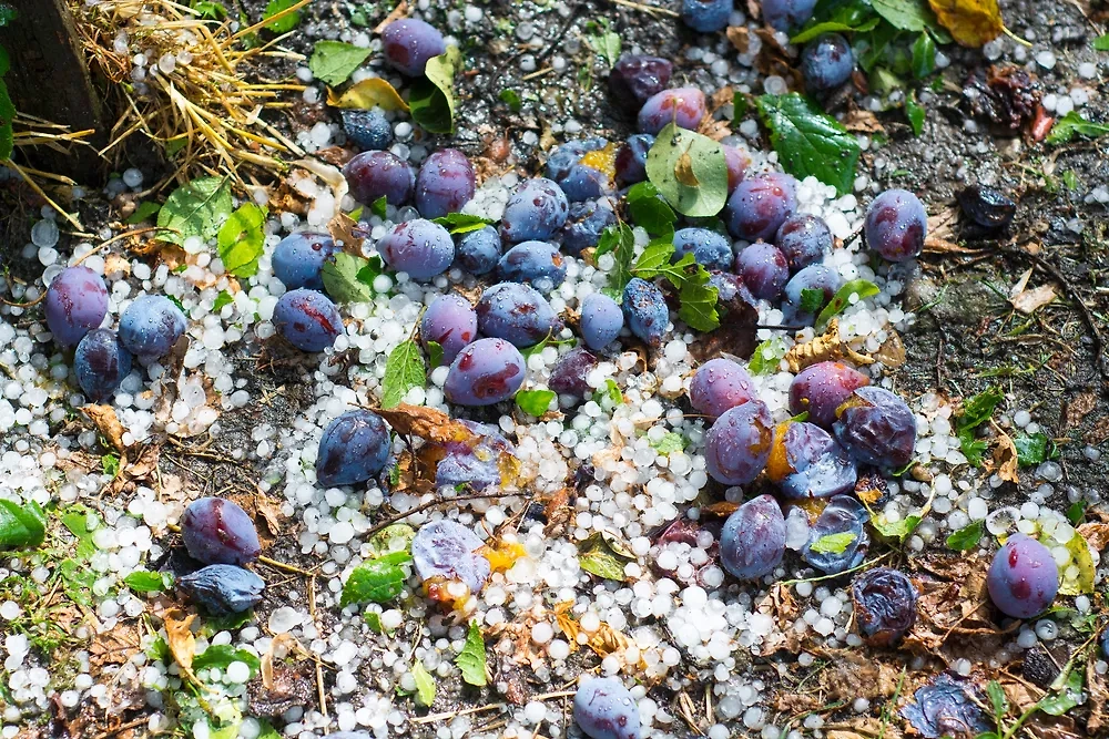 Град. Обложка © Shutterstock / FOTODOM / Adam Radosavljevic