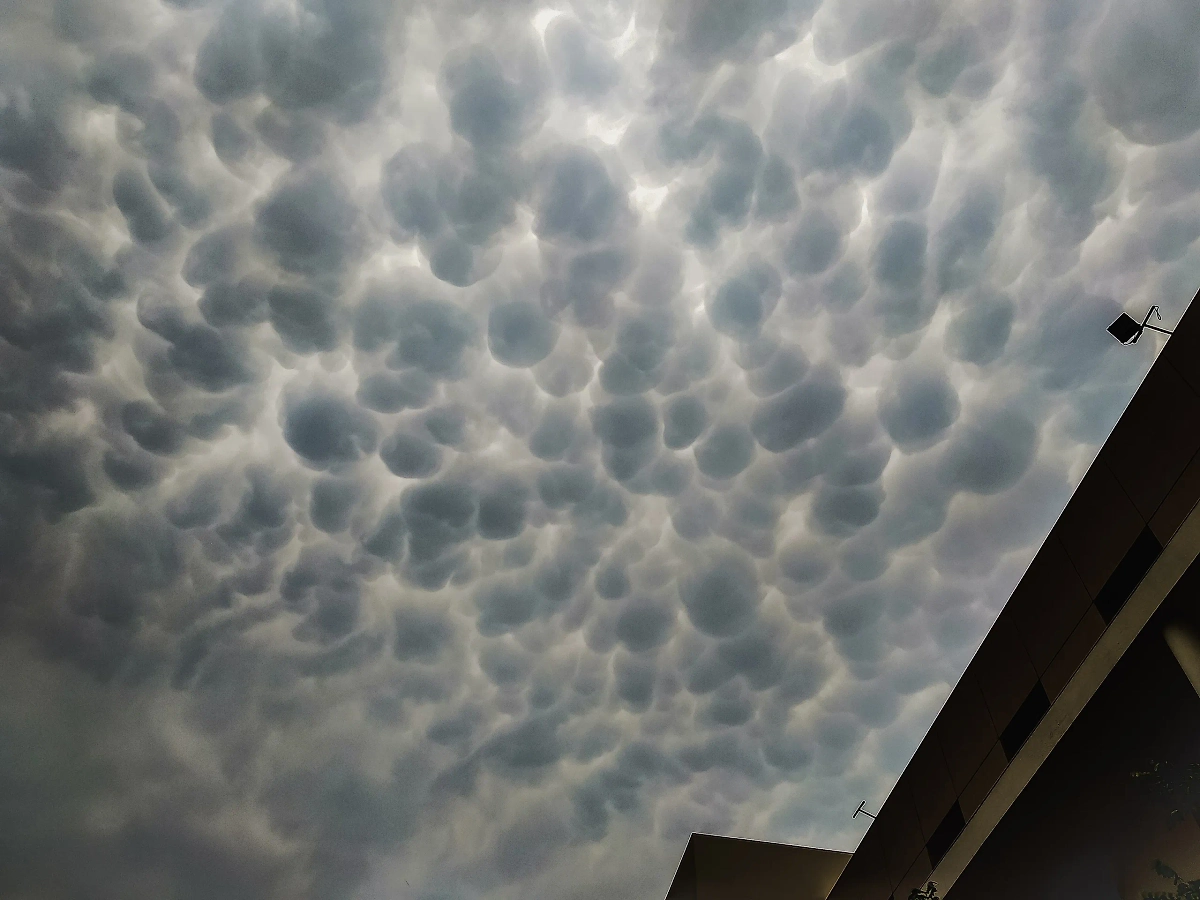 Обложка © Wikimedia / Somsubhra666