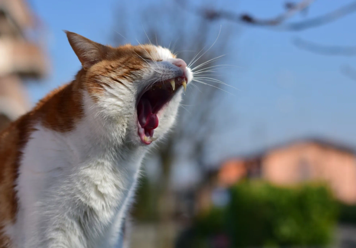 Обложка © freepik / wirestock