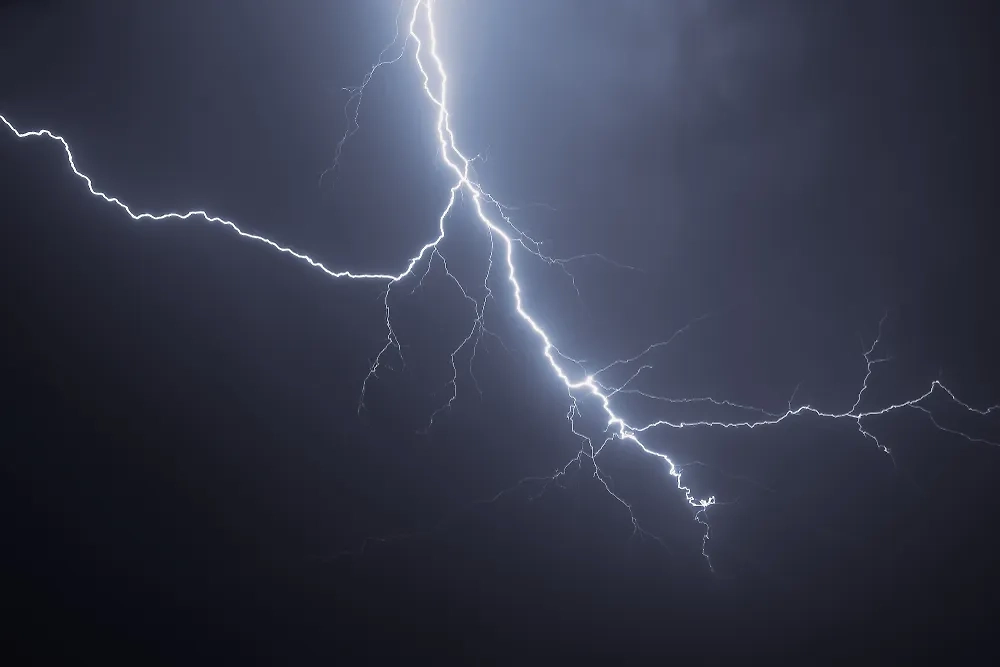 Обложка © Shutterstock / FOTODOM / Pelagija