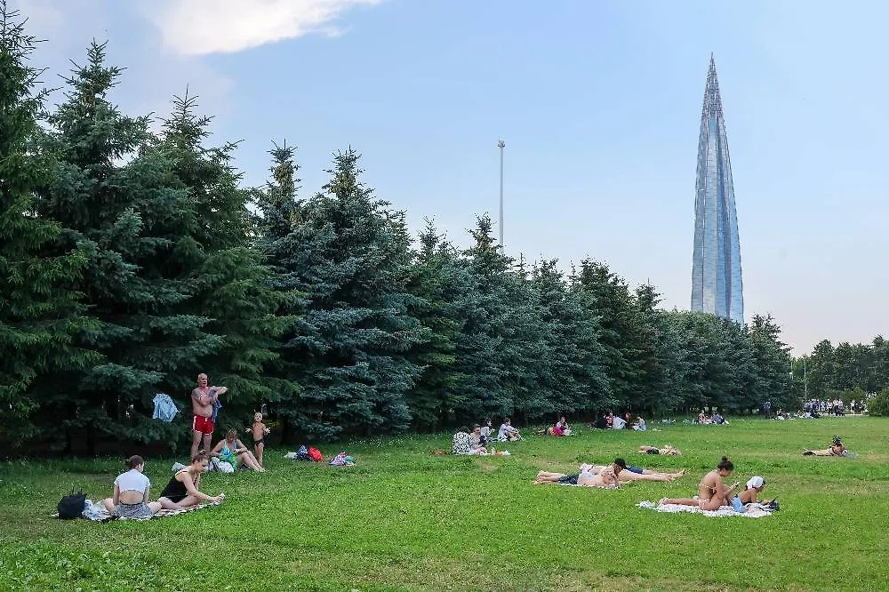 В августе 2025 года в Санкт-Петербурге погода будет в рамках нормы. Фото © ТАСС / Александр Демьянчук