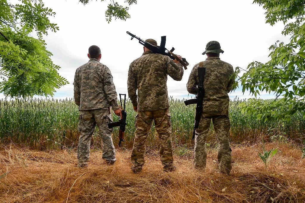 Обложка © Shutterstock / FOTODOM / Andrii Anna photographers