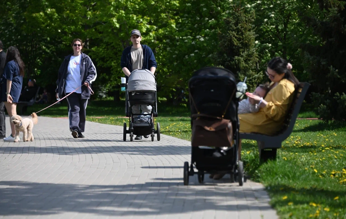 Обложка © Life.ru