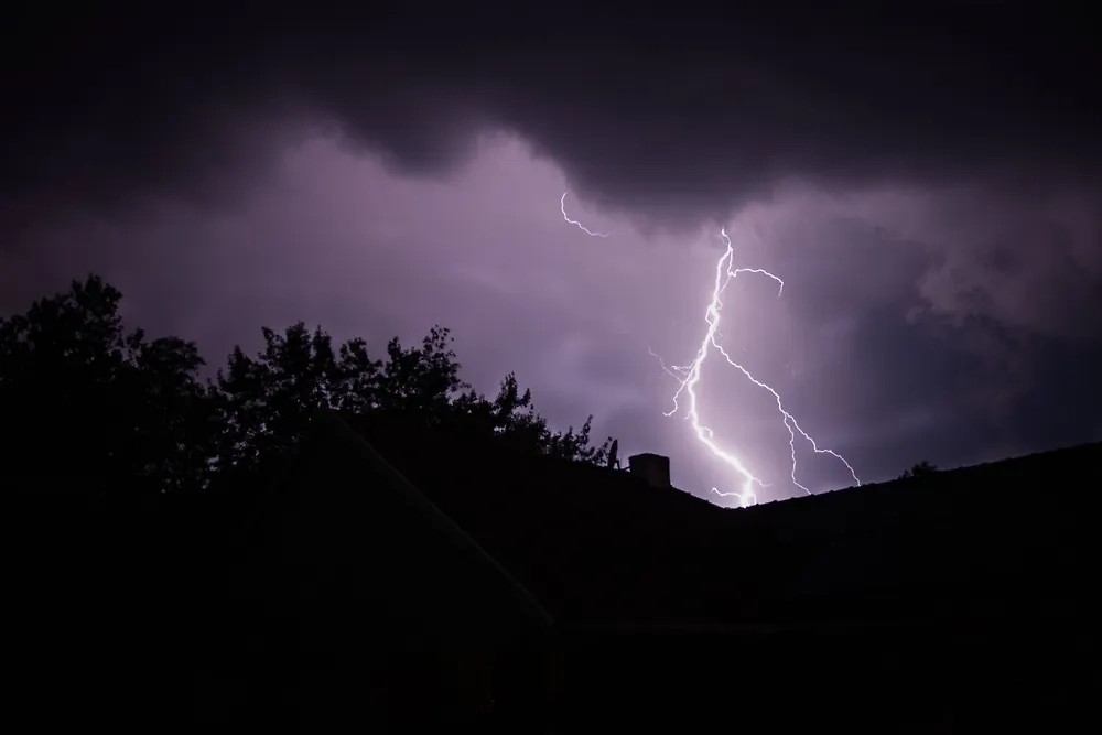 Обложка © Shutterstock / FOTODOM / Marc Rossmann