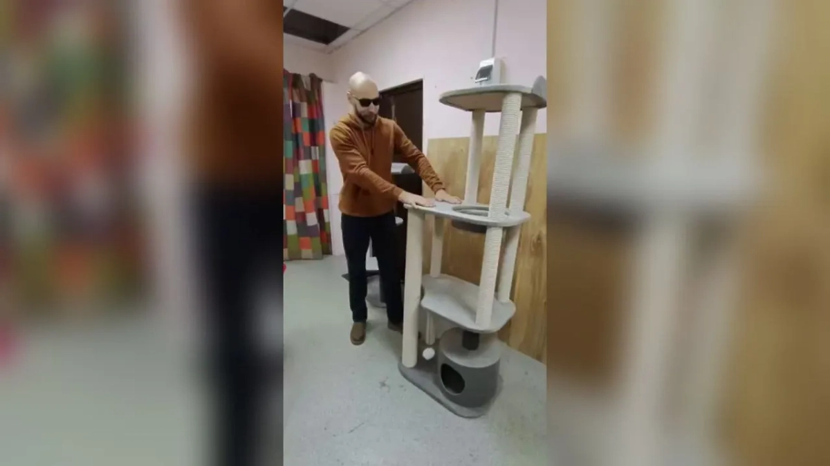 Фото © Instagram (признан экстремистской организацией и запрещён на территории Российской Федерации) / kotodom_42