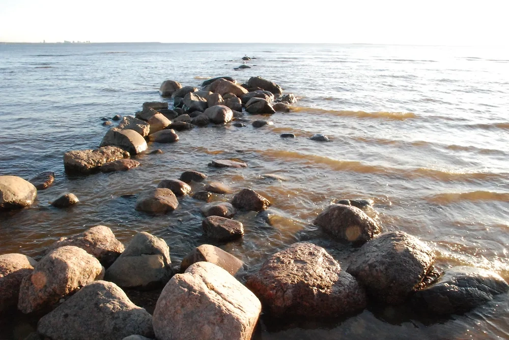 Обложка © Shutterstock / FOTODOM /Andrew Swarga