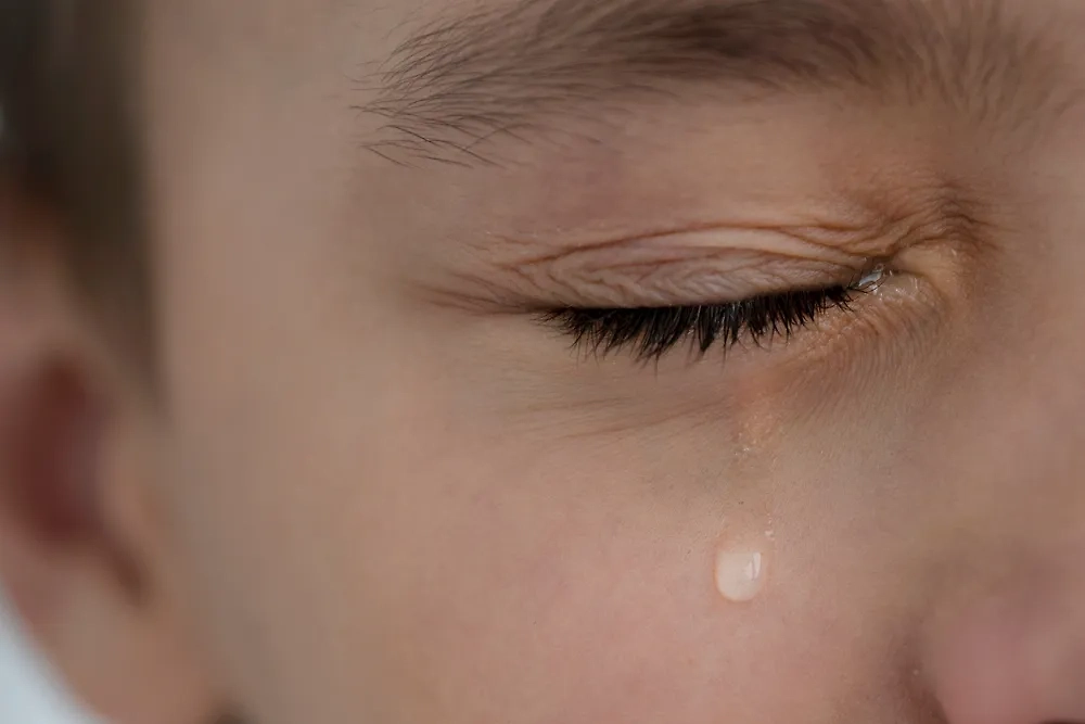 Обложка © Shutterstock / FOTODOM / Anna Sadovskaia