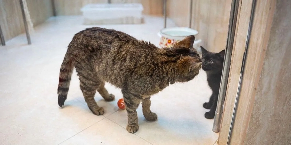 Обложка © Пресс-служба Департамента культуры города Москвы