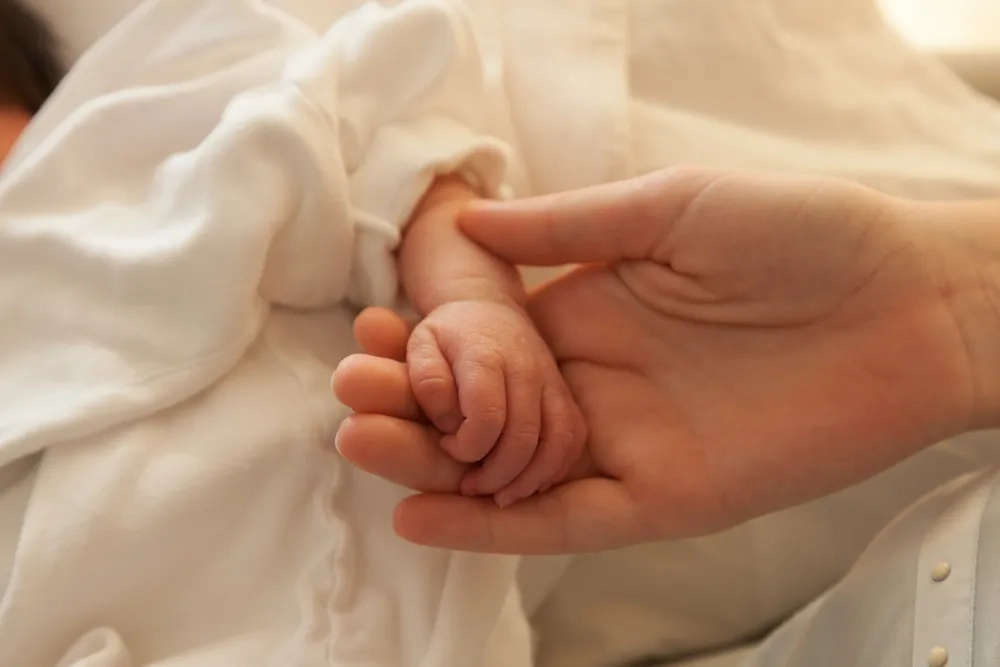 Обложка © Shutterstock / FOTODOM / Korpithas