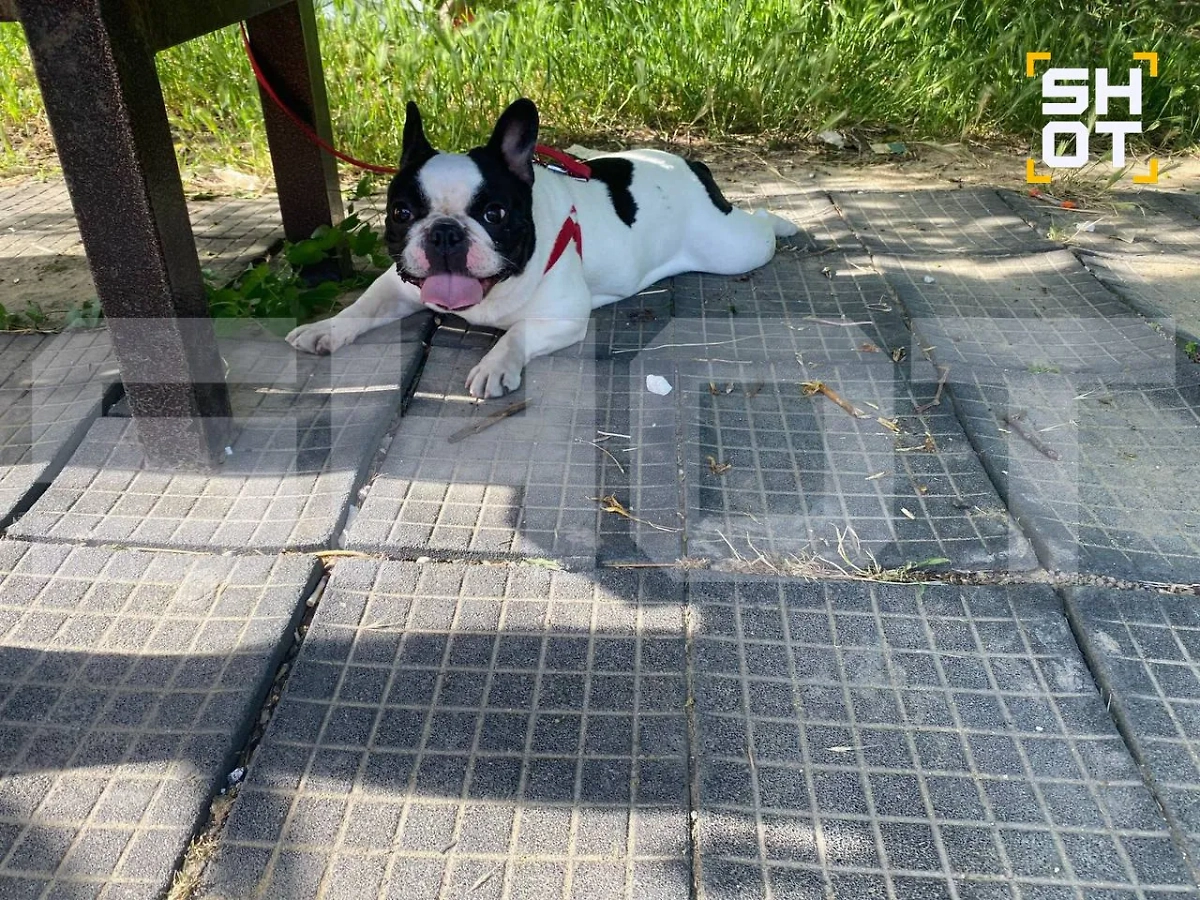 Лоле было всего два года. Фото © SHOT