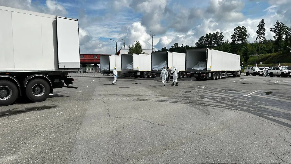 Обложка © Telegram / Владимир Мединский