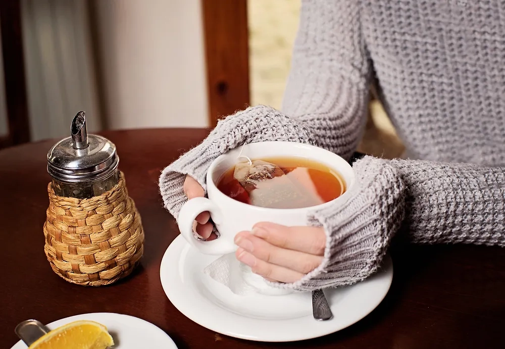 Обложка © Shutterstock / FOTODOM /Adam Otvos