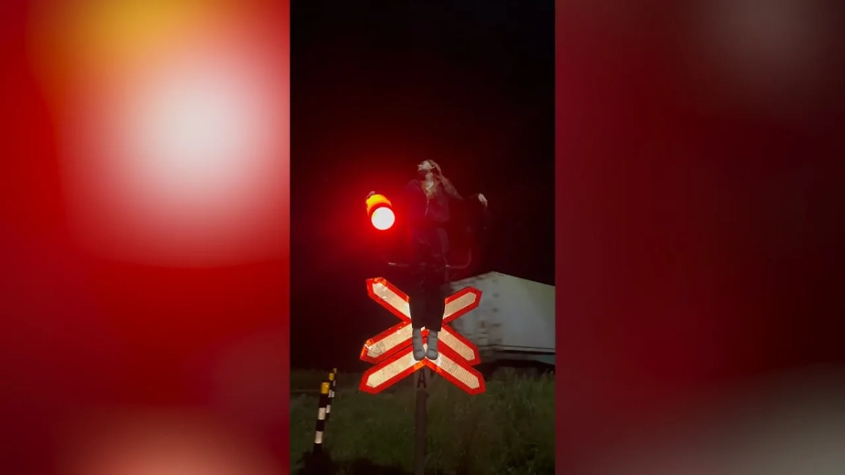 Тренд, где подростки висят на дорожных знаках. Обложка © TikTok/ / darivws