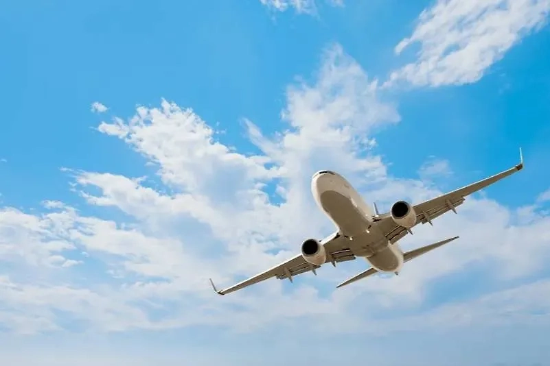 Обложка © Shutterstock / FOTODOM / muratart