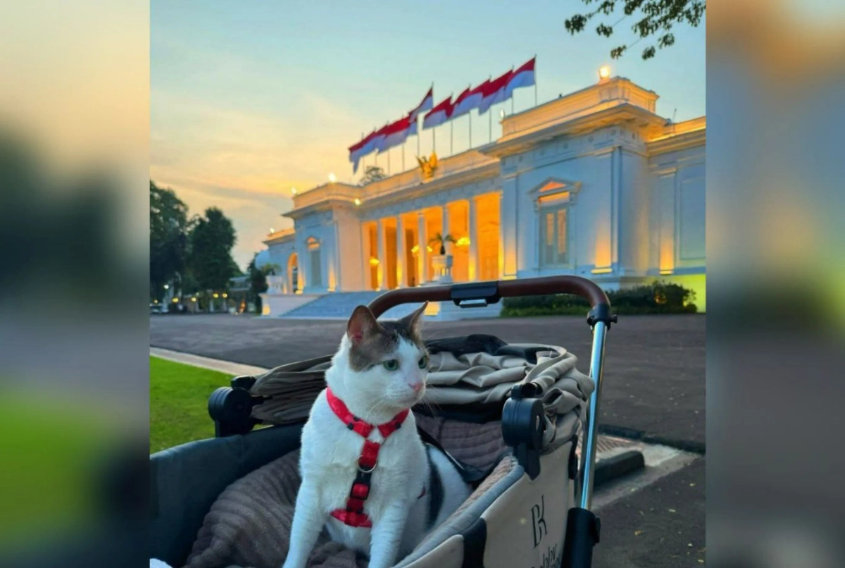 Обложка © Instagram (признан экстремистской организацией и запрещён на территории Российской Федерации)/ bobbykertanegara