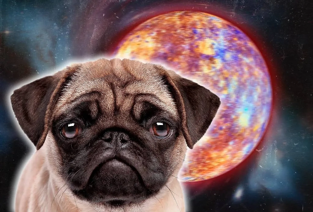 Обложка © Коллаж © Life.ru, фото © Shutterstock / FOTODOM / E LLL, Artsiom P, Mike_shots