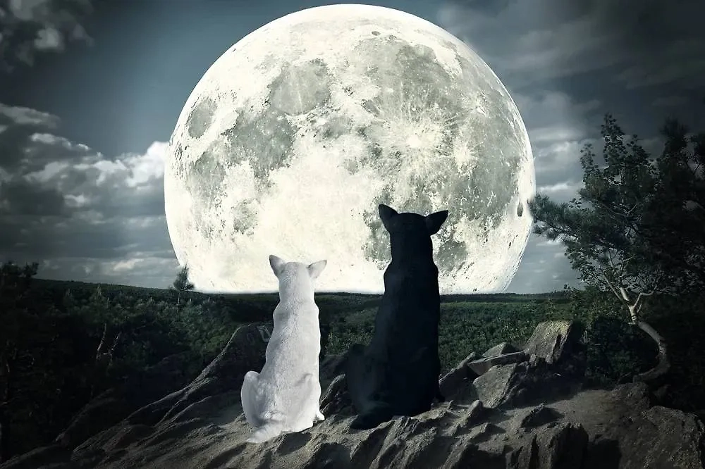 Фото © Shutterstock / FOTODOM / Carlos Amarillo