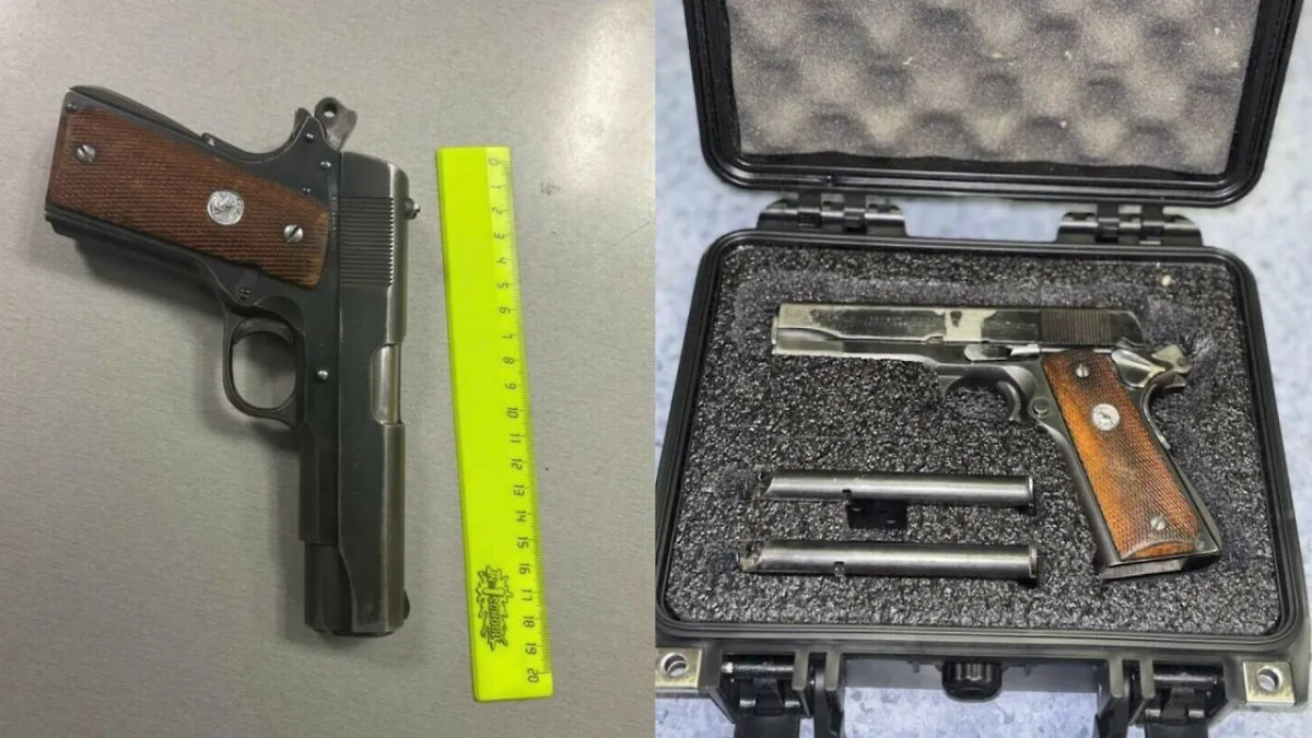 На таможне задержали пассажирку с пистолетом Colt Combat Commander 45 калибра. Фото © ФТС России
