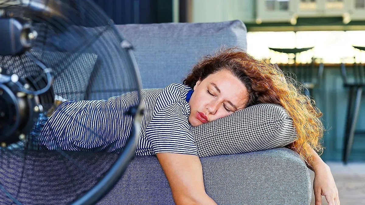 Обложка © Shutterstock / FOTODOM / Ahmet Misirligul