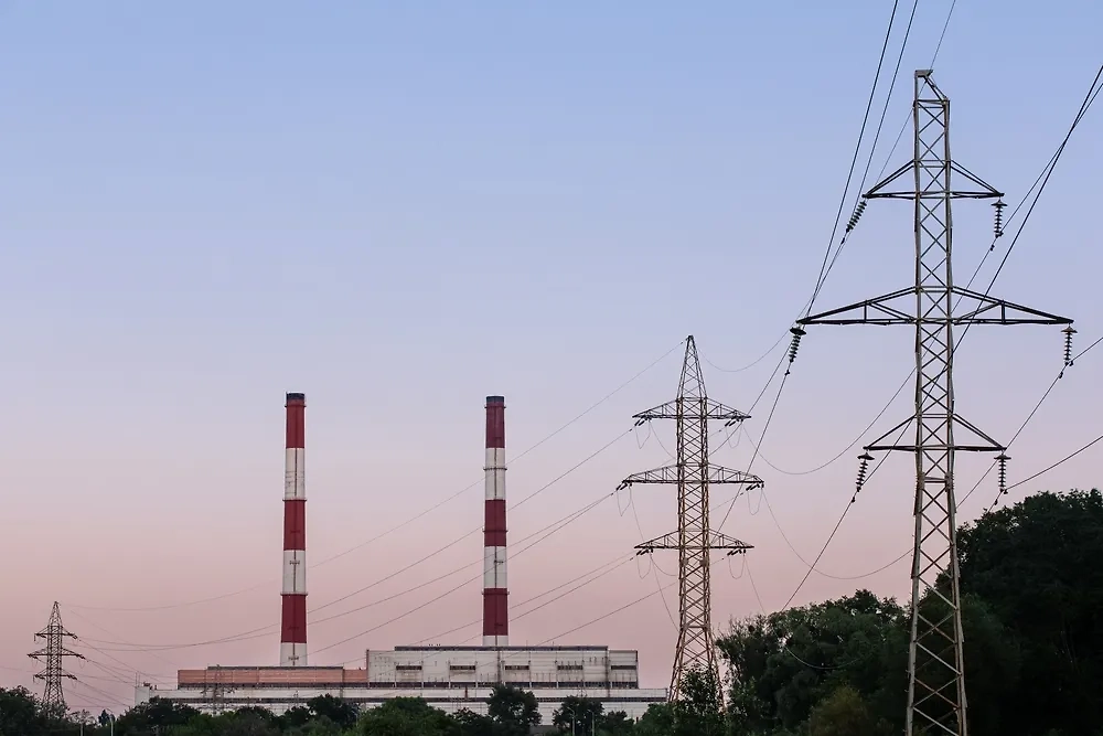 Обложка © Shutterstock / FOTODOM / Olena Shvets