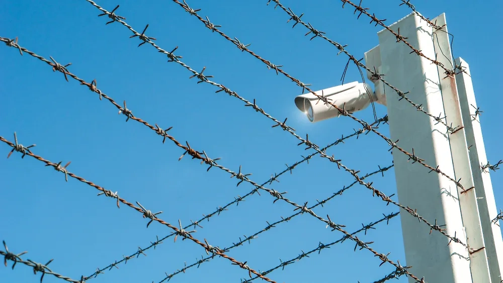 Обложка © Shutterstock / FOTODOM / pdsci