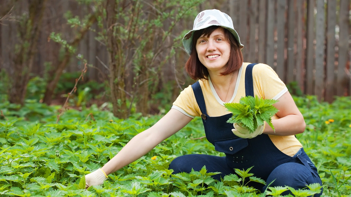 Обложка © Shutterstock / FOTODOM / BearFotos