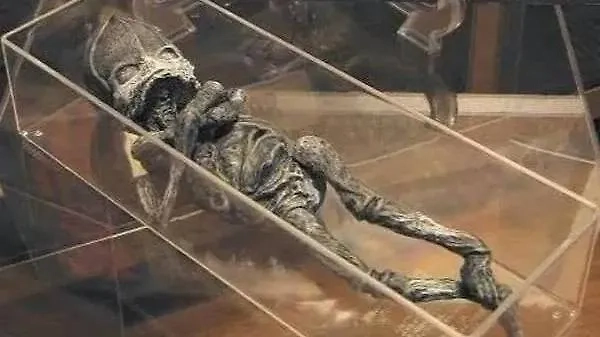 Кыштымский карлик — настоящая звезда уфологии. Его считают останками инопланетного существа. Фото © Youtube / Студия AdolsFilm