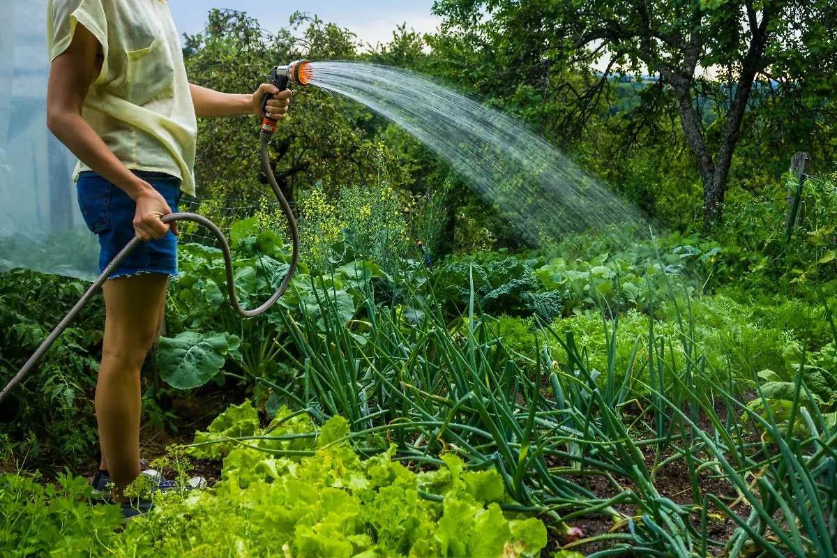 Пять дачных привычек, которые могут обернуться штрафом или трагедией. Фото © Shutterstock / FOTODOM / Lolostock – Apex Studios