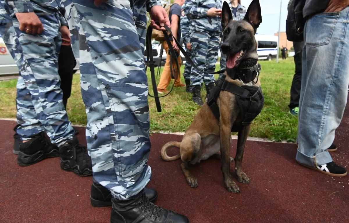 Правоохранители. Обложка © Life.ru