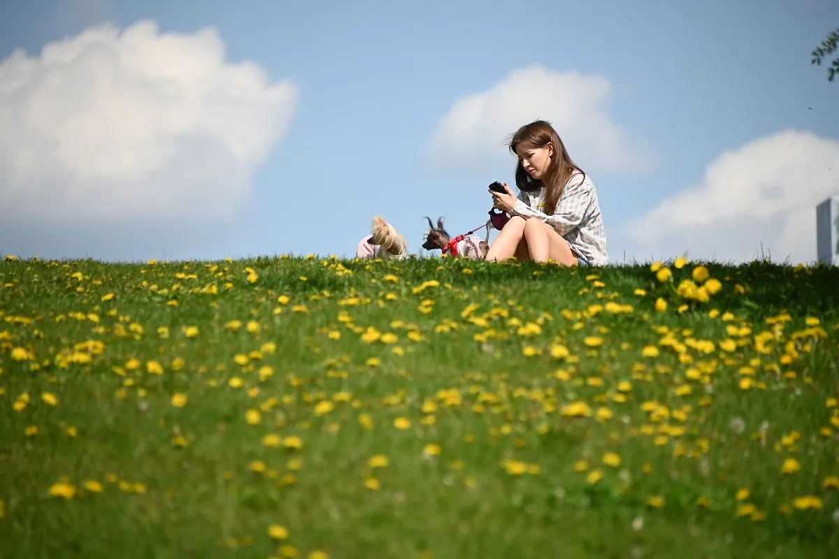 Обложка © Life.ru