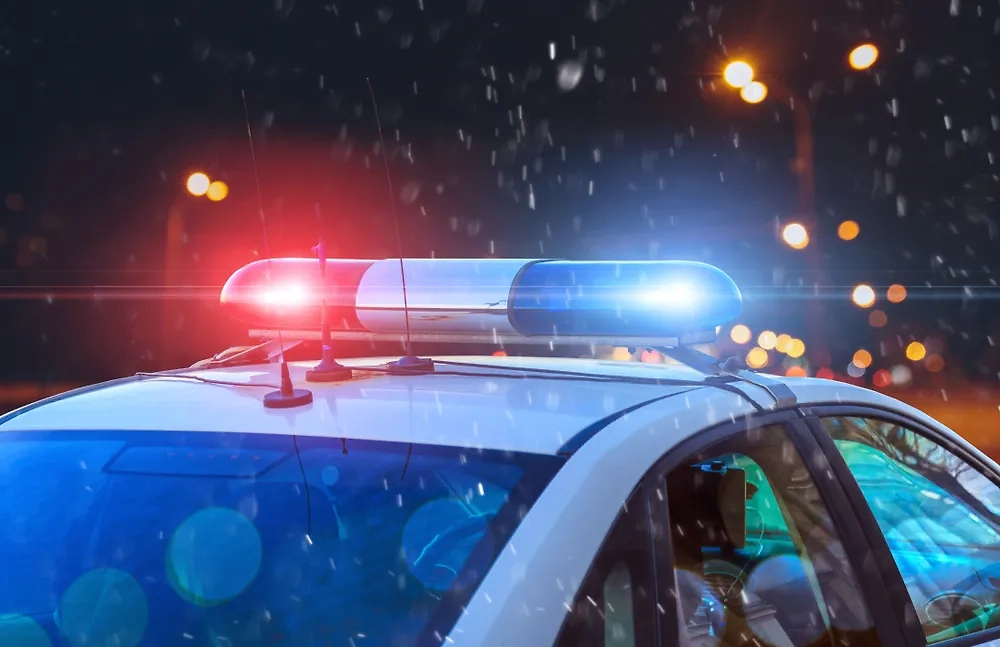 Обложка © Shutterstock / FOTODOM / Fedorovekb