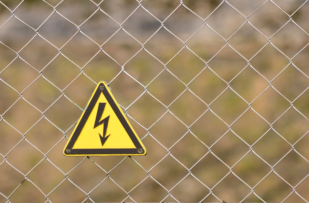 Обложка © Shutterstock / FOTODOM / Ian Law