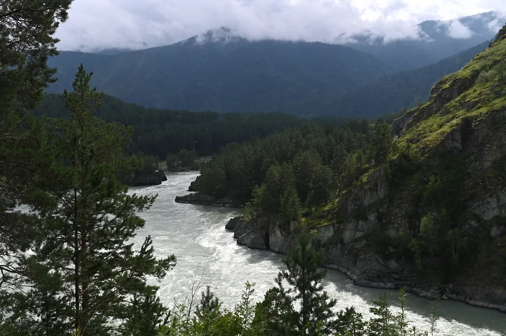 Обложка © РИА Новости / Алексей Мальгавко