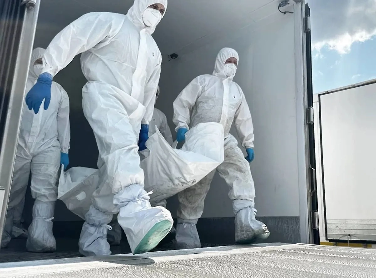 Обложка © Telegram / Минобороны РФ