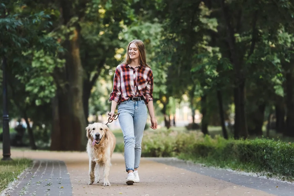 Обложка © Shutterstock / FOTODOM / LightField Studios