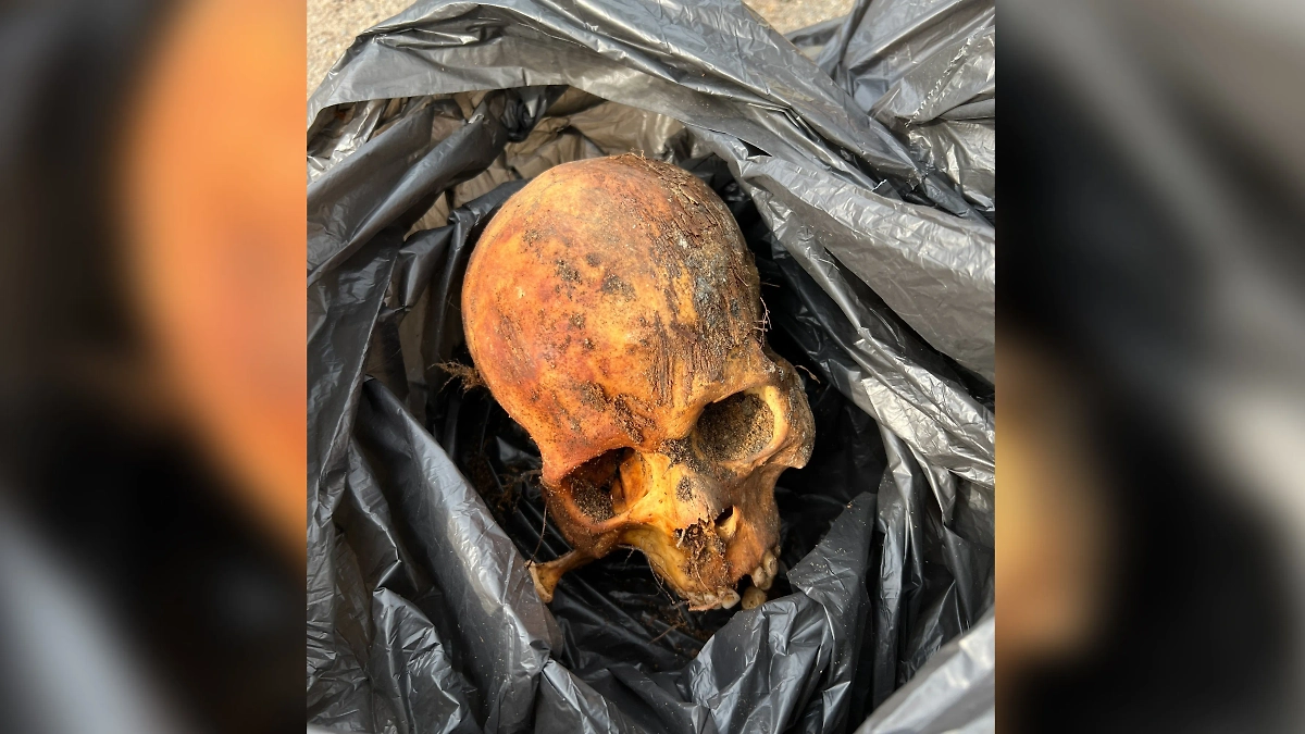 Обложка © VK / Эдуард Верховых