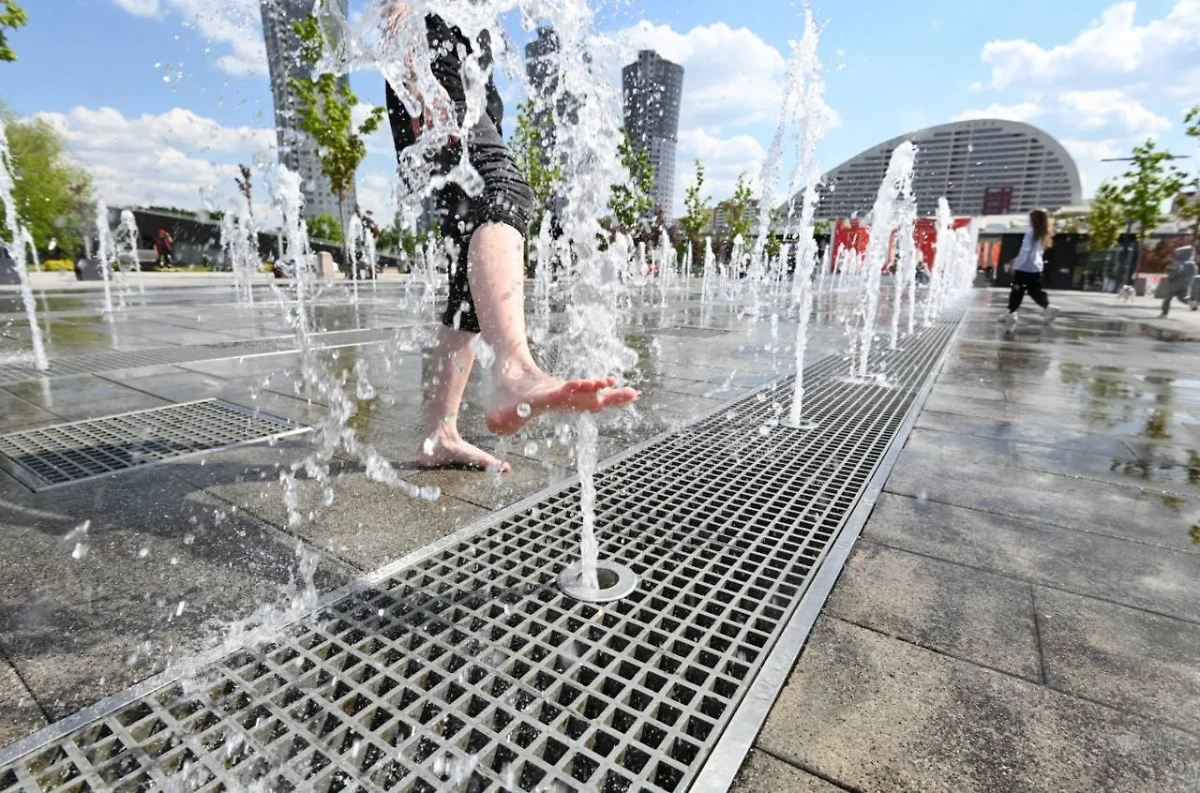 Обложка © Life.ru