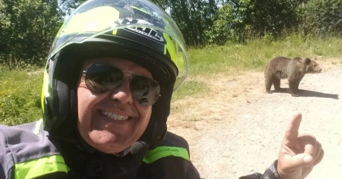 Погибший итальянец с медведем. Обложка © Facebook (признан экстремистской организацией и запрещён на территории Российской Федерации) / Omar Farang Zin