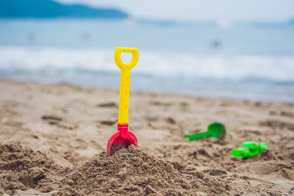 Обложка © Shutterstock / FOTODOM / Elizaveta Galitckaia