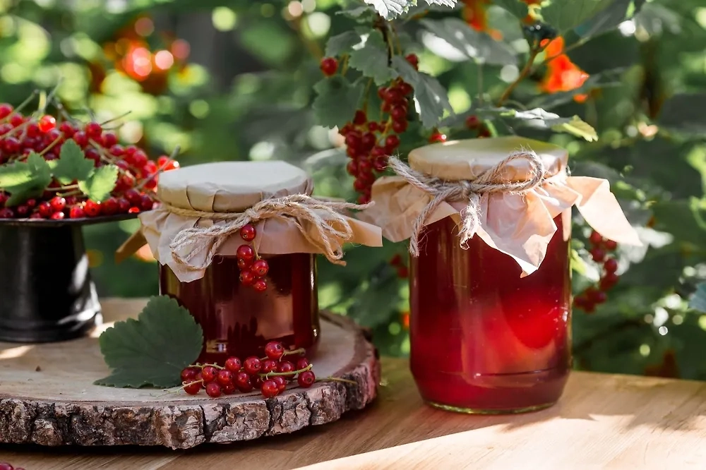 Обложка © Shutterstock / FOTODOM / PhotoJuli86