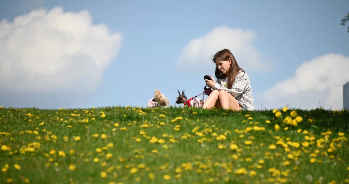 Обложка © Life.ru