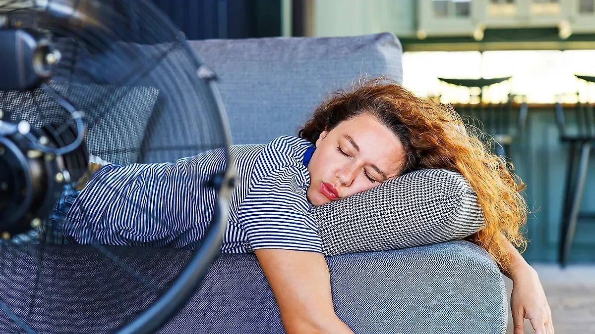 Обложка © Shutterstock / FOTODOM / Ahmet Misirligul