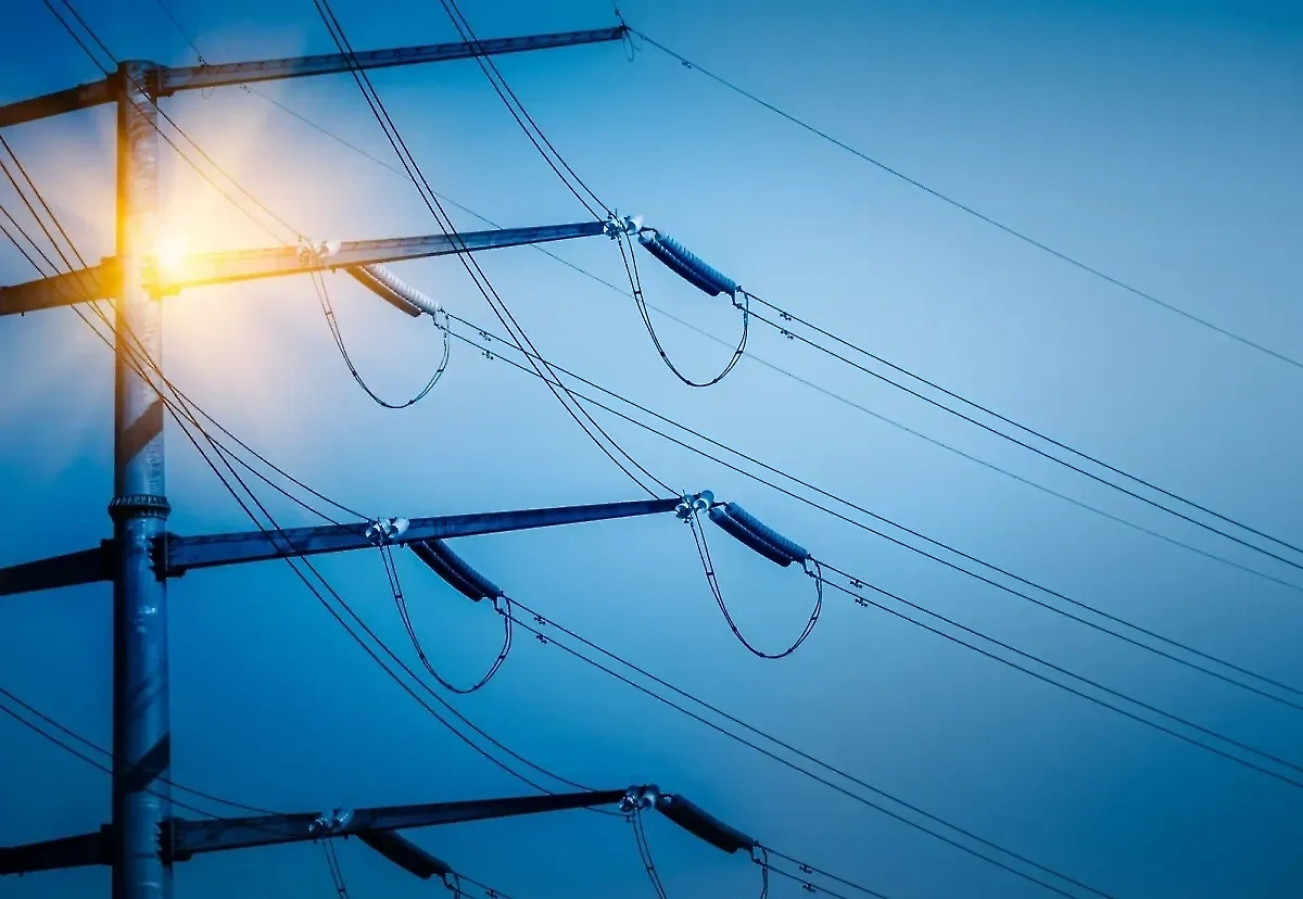 Обложка © freepik / fanjianhua