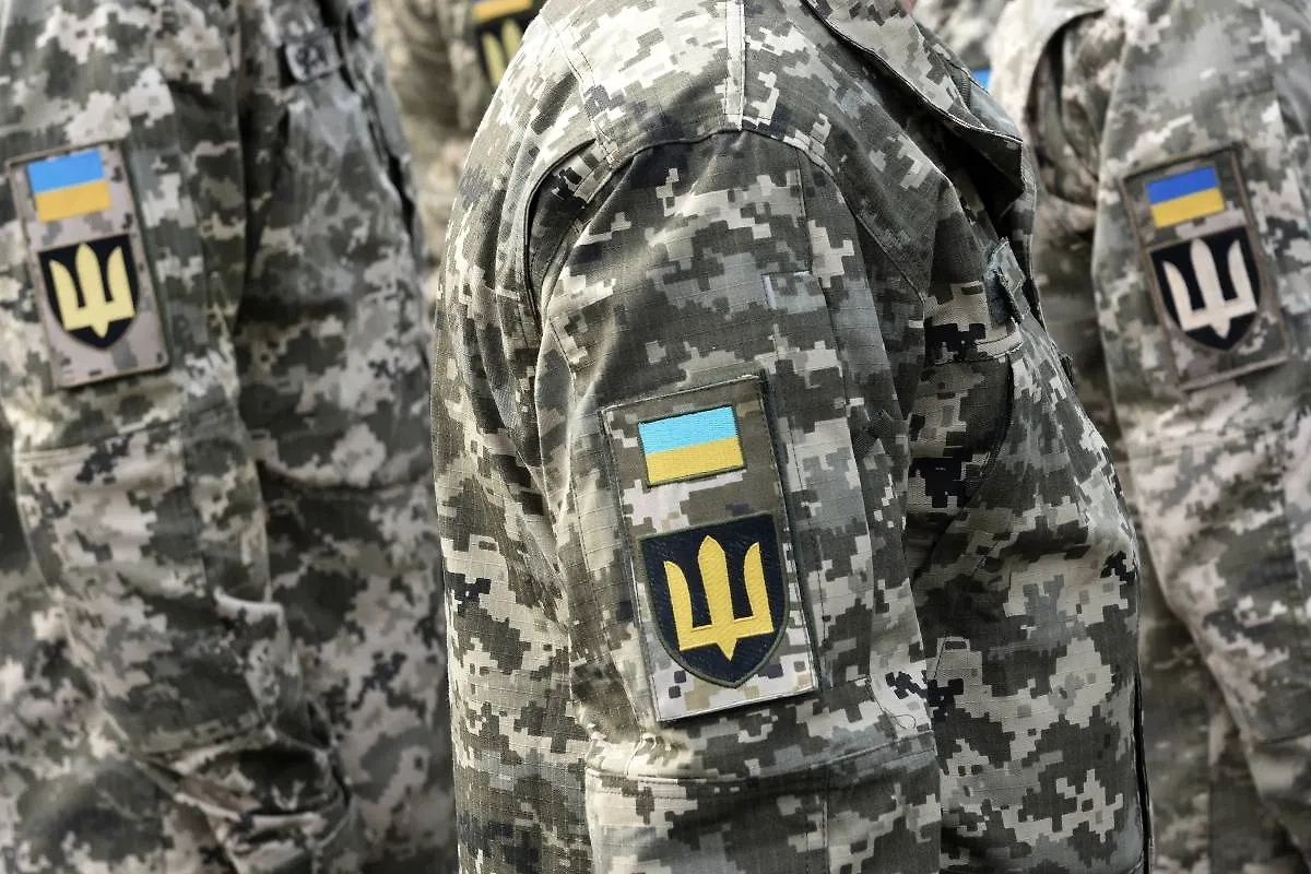 ВСУ. Обложка © Shutterstock / FOTODOM / Bumble Dee