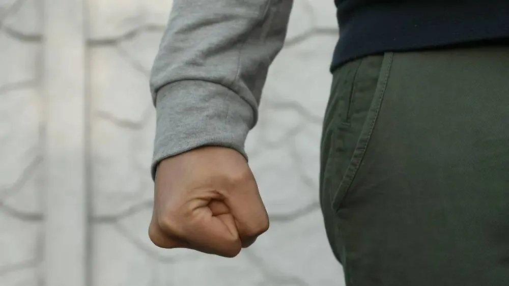 Обложка © Shutterstock / FOTODOM / New Africa