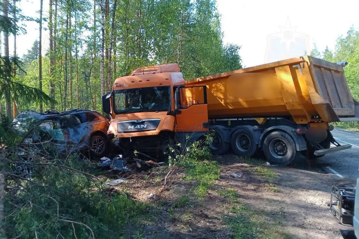 Последствия ДТП, в котором погиб учёный Захаров. Обложка © Telegram / Аварийно-спасательная служба ЛО