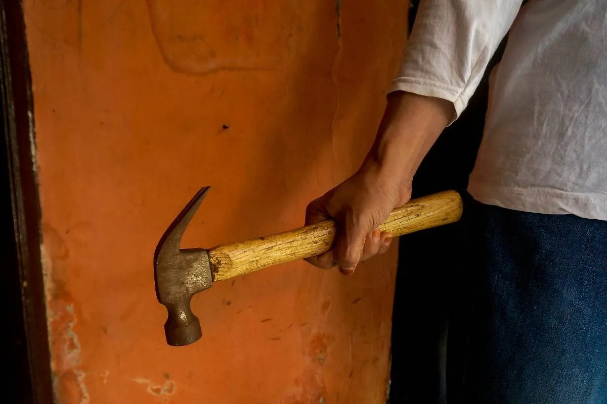 Обложка © Shutterstock / FOTODOM / Ken Fauzy