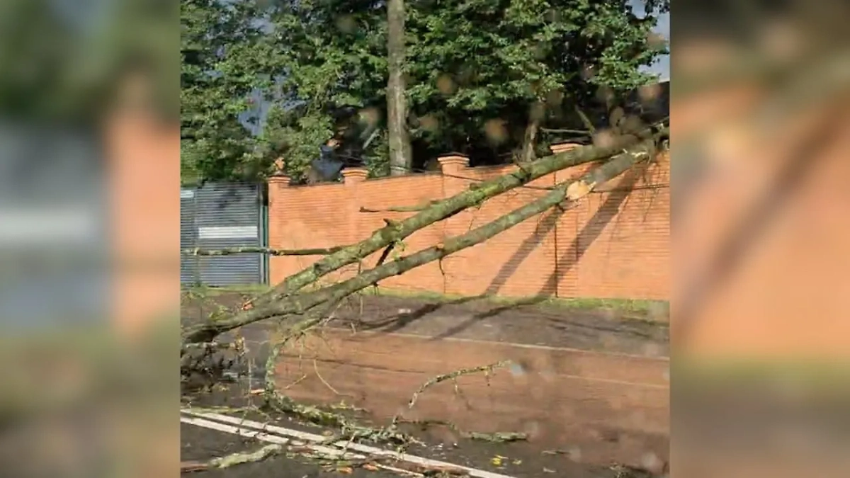 Обложка © Telegram/ SHOT