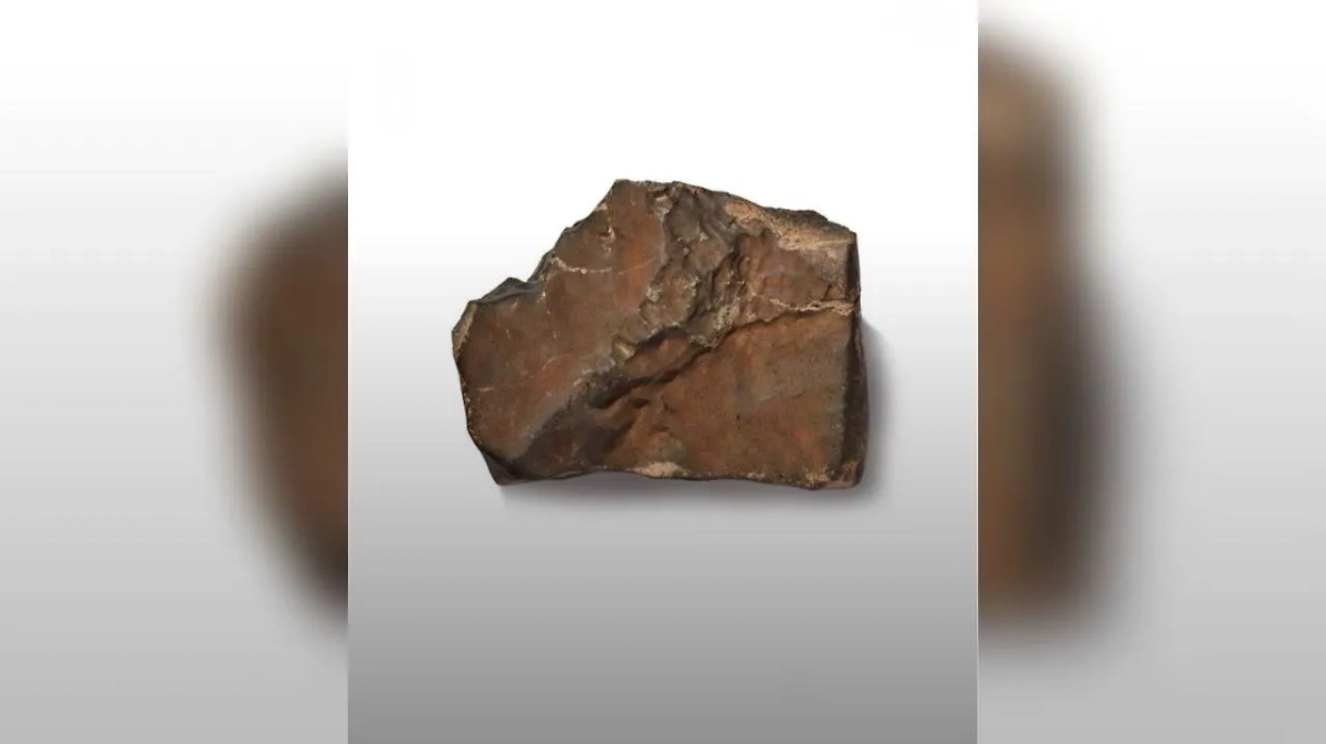 Обложка © Instagram (признан экстремистской организацией и запрещён на территории Российской Федерации)/ factpoint