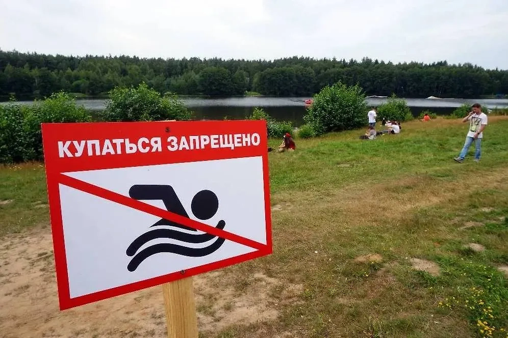 Обложка © ТАСС / Александр Артеменков